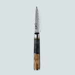 Aiko Black Damascus Steel Knife with Coloured Black Resin Handle