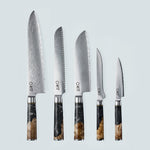 Aiko Black Damascus Steel Knife with Coloured Black Resin Handle