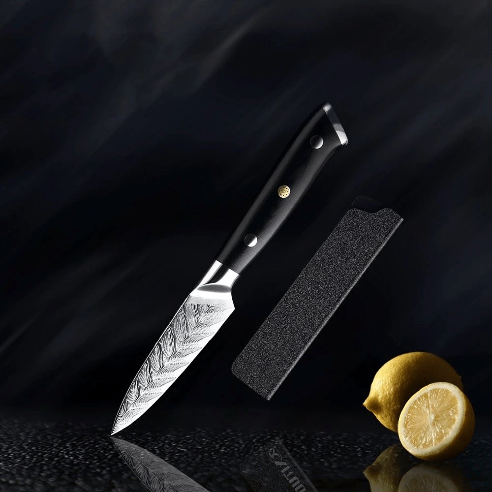Riku (リク) Damas Vg10 Couteau